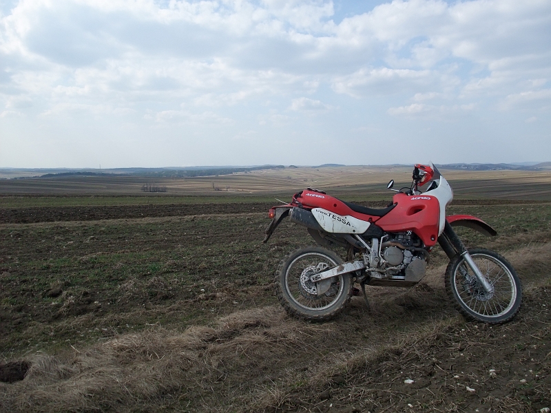 Obraz 181